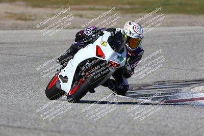 media/Mar-23-2025-TrackDaz (Sun) [[88a7749186]]/C Group/240pm (Cotton Corners)/